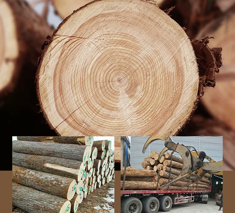  915x915x5 0 мм липа лазерная гравировка фанера пазл в продаже