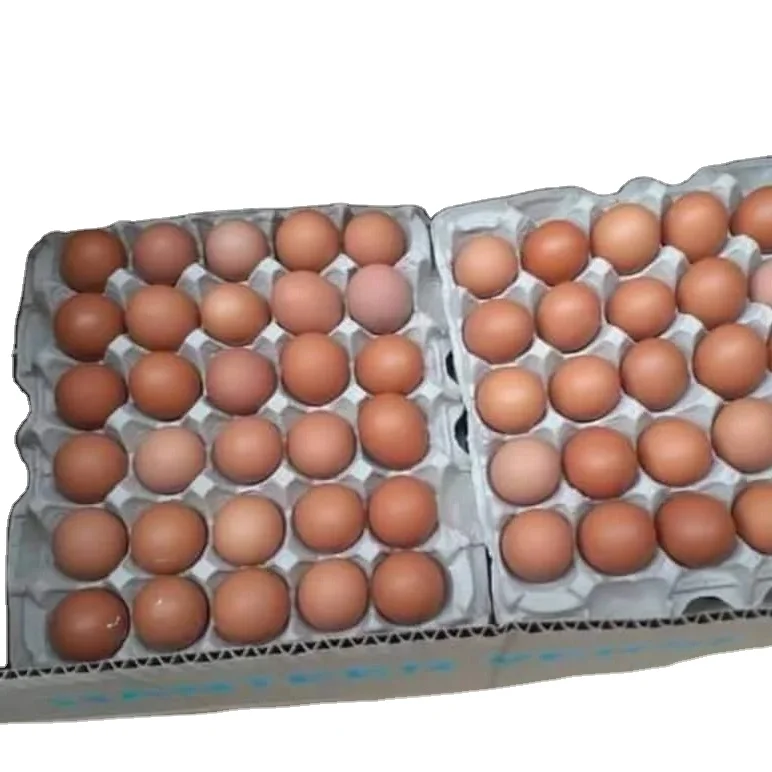 Свежие белые и коричневые столовые яйца