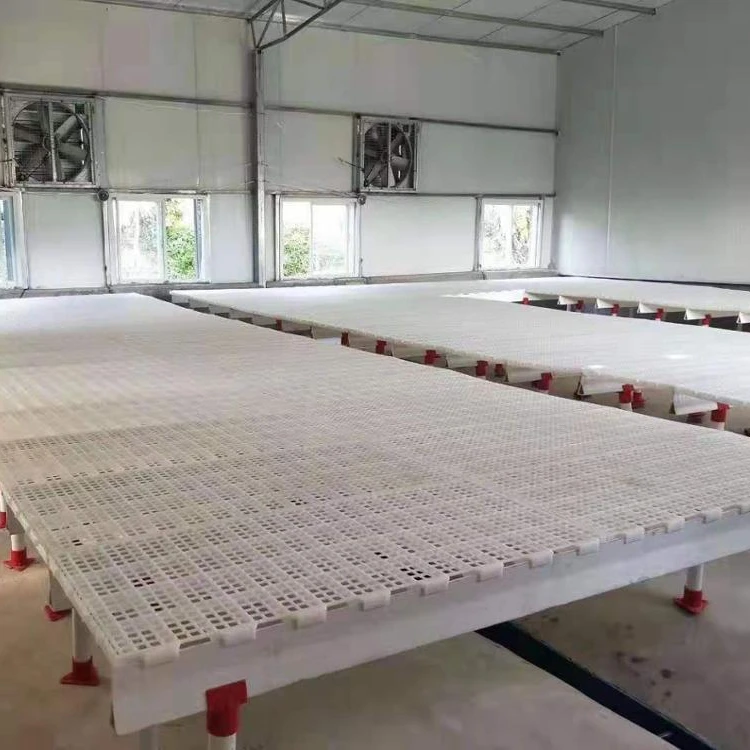 plastic poultry floors for chicken farm
