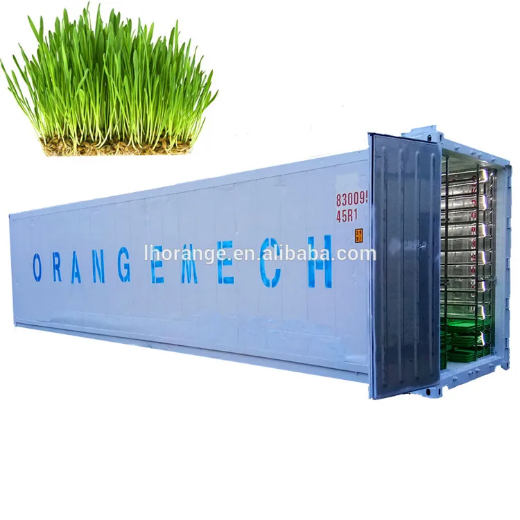 1000kg/day Automatic Hydroponic Barley Fodder Grass Seeds for Sale