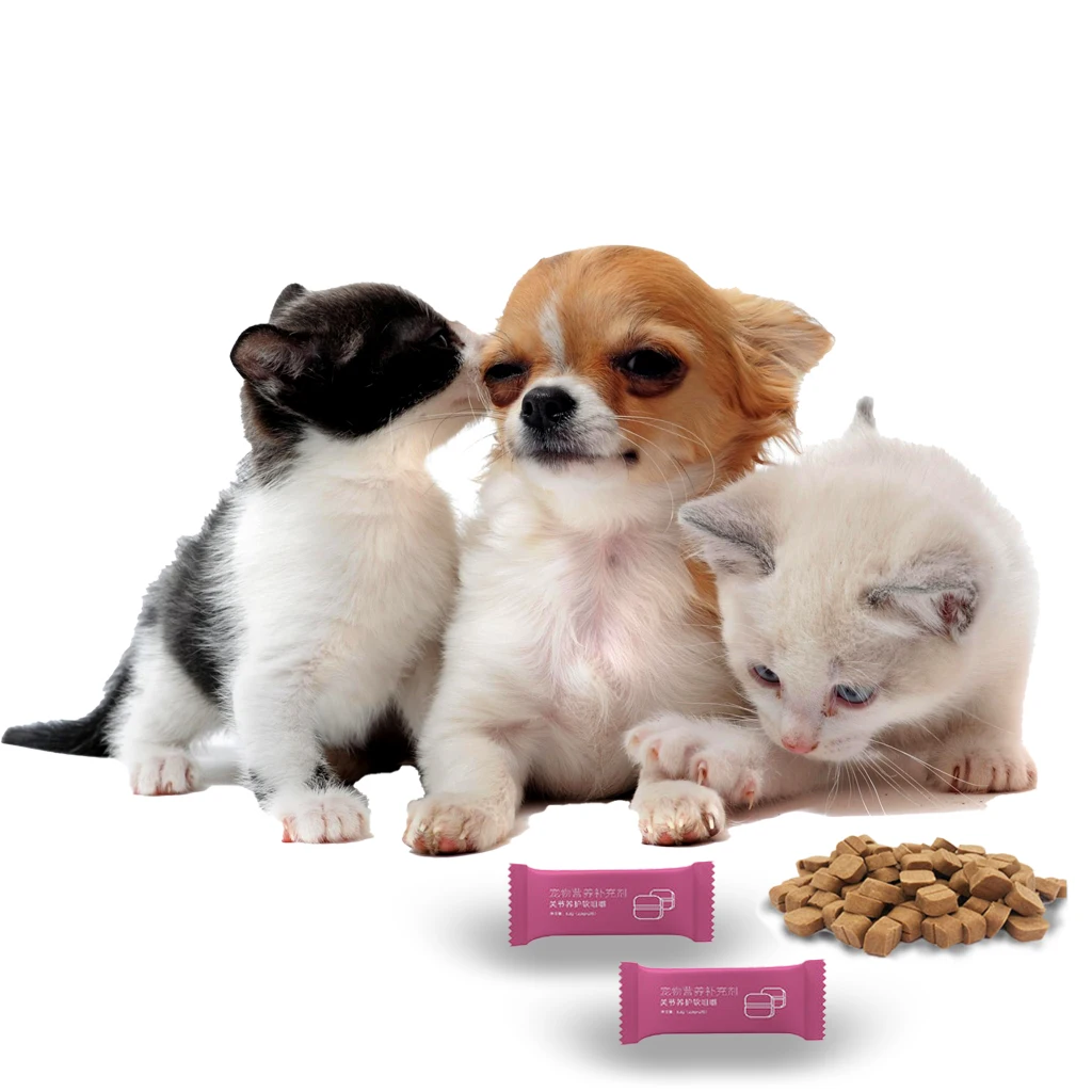 Pet Joint care and Supplements Pet Health Care Nutrition Supplements soft chew