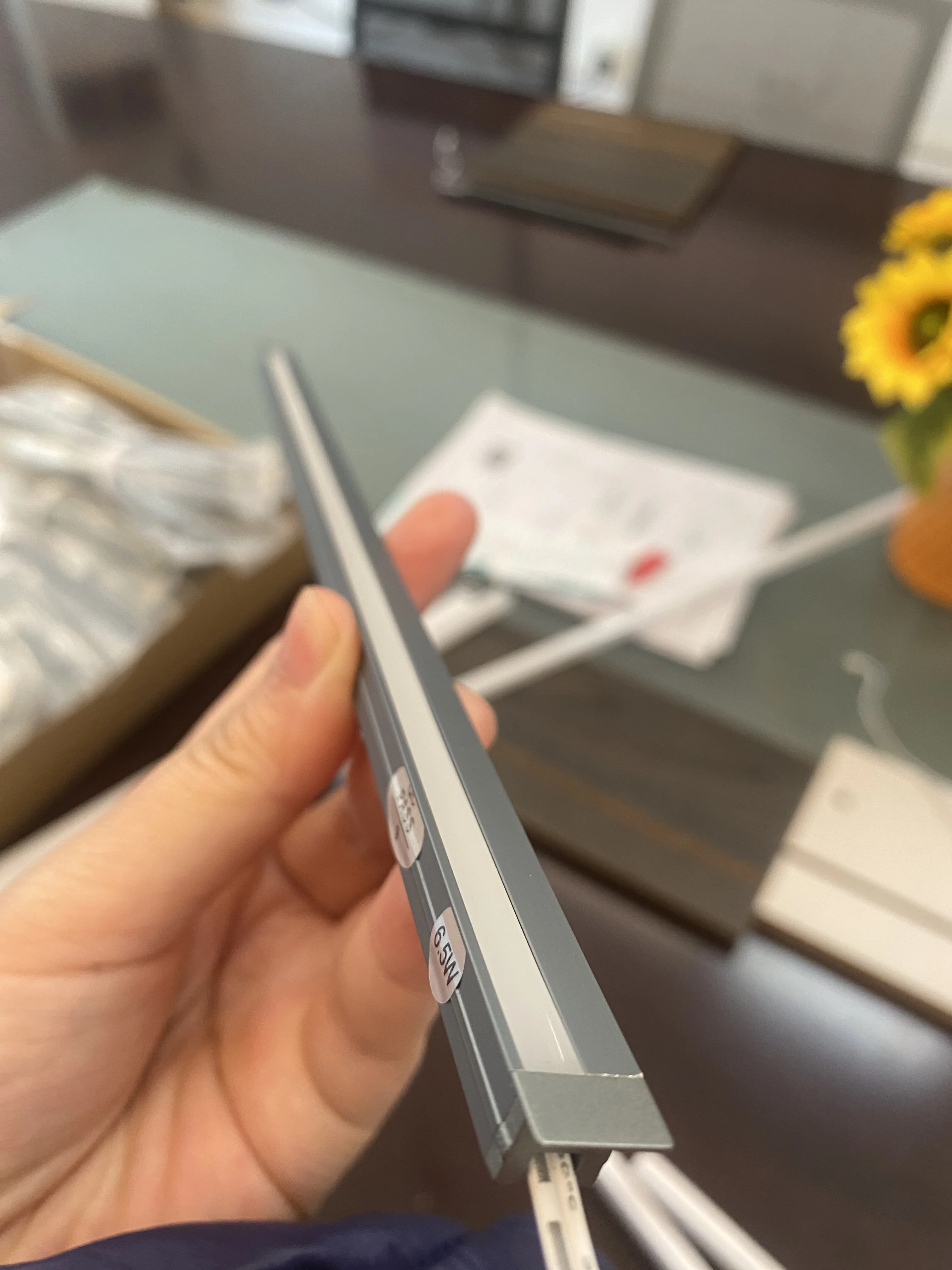 Двухстороннее освещение Rgbic гибкий светодиодный неоновый пульт дистанционного управления Google Alexa голосовое умное управление Wi-Fi