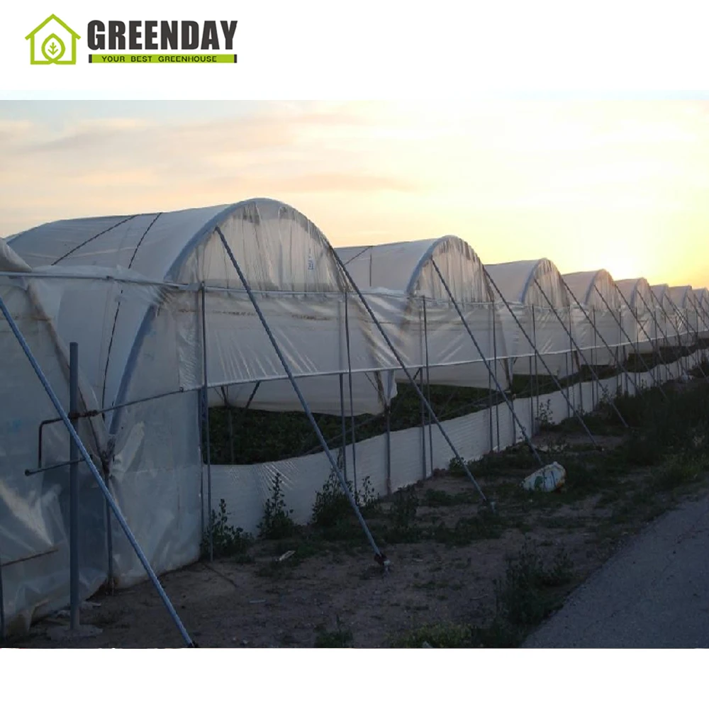 
GREENDAY Greenhouse Agriculture planting materials Hydroponic Rockwool, Rock wool cubes 
