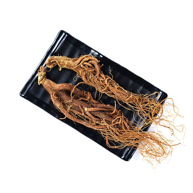 
Plant Wholesale Red Ginseng Root For Sale 