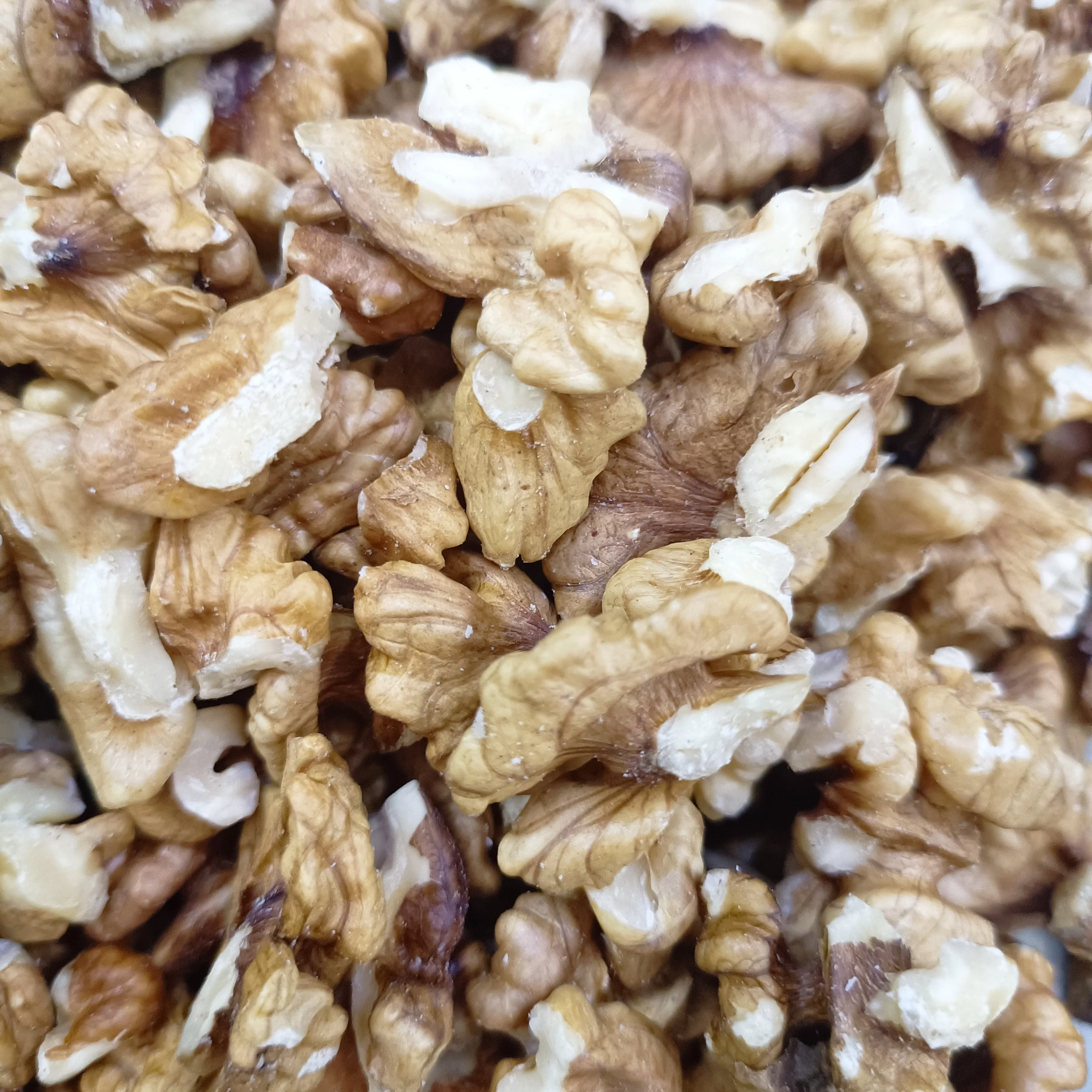 Wholesale Natural Organic Top Grade White Walnuts kernels