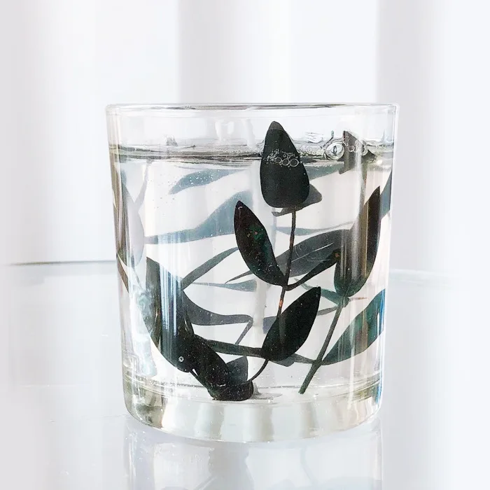 
Jelly candles environmental protection dry flower scented candles with hand gift candles glass jar 