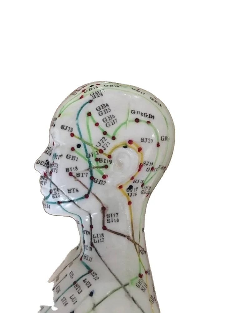 48cm Medical Educational  FEMALE ACUPUNCTURE  Body Model