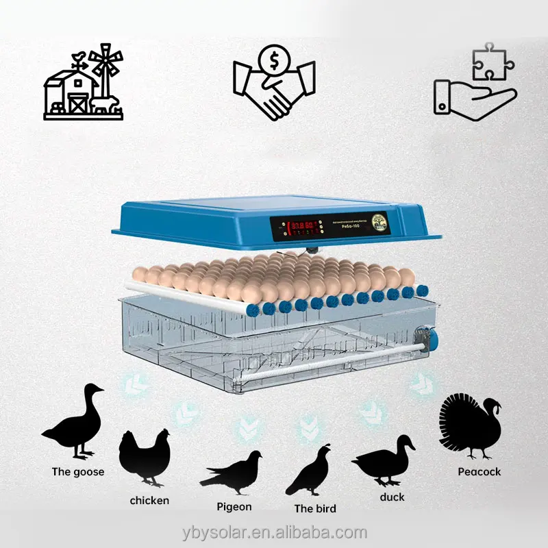 24 Pcs Mini Turn Tray Chicken Bird Eggs Care Automatic Incubator Equipment Advance Hatching Egg Incubators Poultry Hatcher