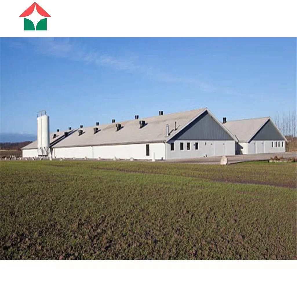 Стальная конструкция, ферма, птицефабрика, цыплята, стальная рама, конструкция, сборный куриный домик