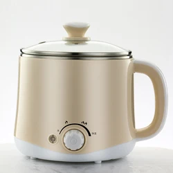 Top 1 sale for Indian Amazon  OEM 1.6L Electric Multi Function Purpose Kettle with Glass Lid Wholesale Manufacture Egg Steamer