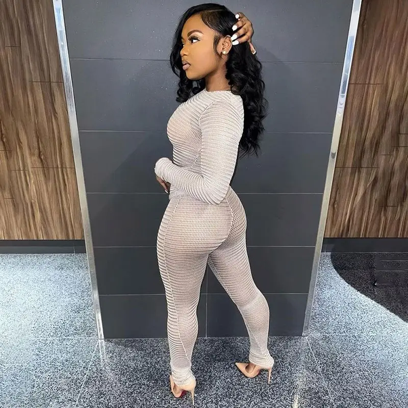 Solid Color In Stock Pink Net See Through Stretch Sexy Top Pants Outfits Women Two Piece Set