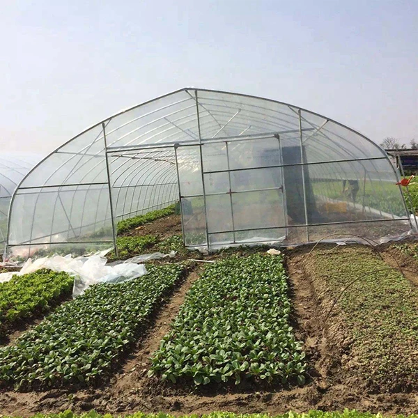
Galvanized Frame Greenhouse Steel Pipe Green House Structure Steel Pipe Film Tunnel Greenhouse 