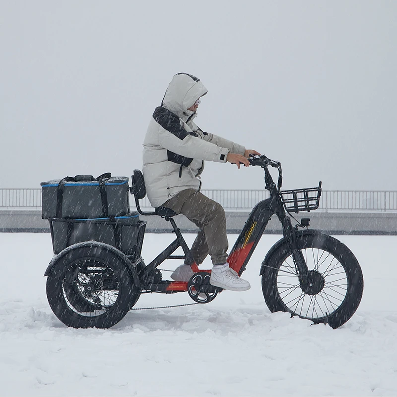 New step thru cargo electrica triciclo 48v bafang dual motor etricycle 2000w 40ah torque sensor dual batteries electric trike