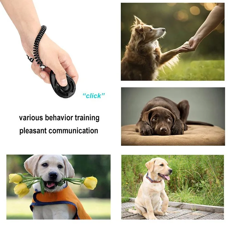 Customizable Logo Sustainable Personalized Plastic Dog Clicker Pet Dog Training