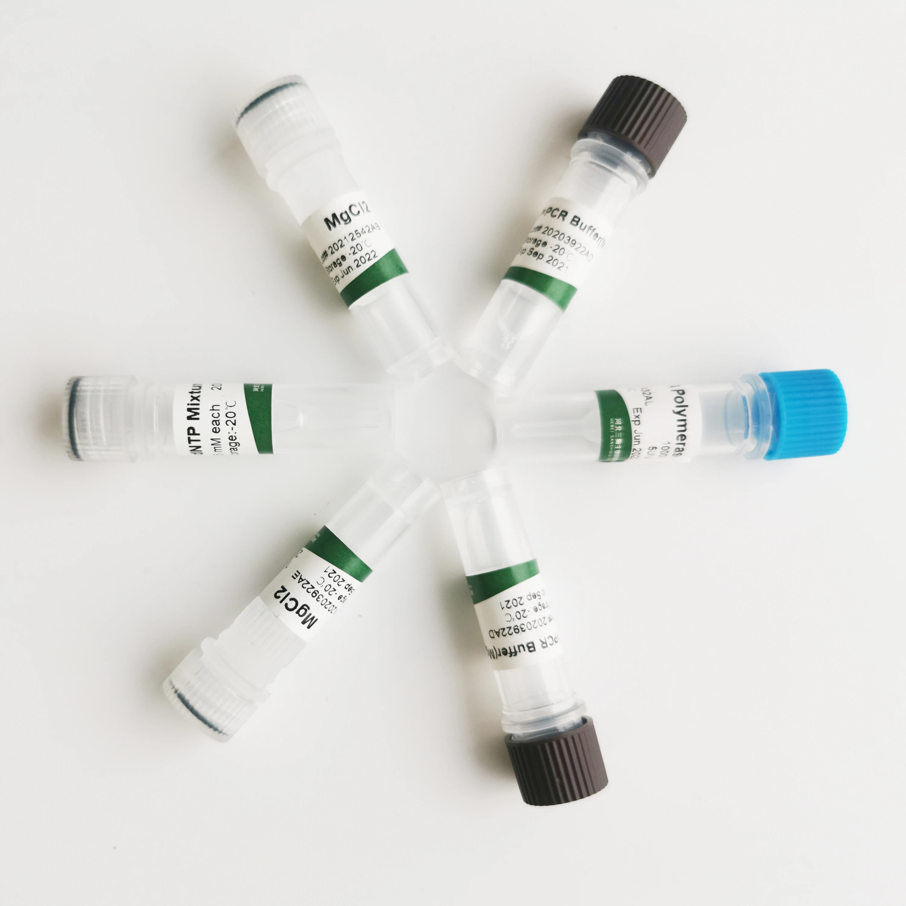 Прямая Заводская Продажа, индивидуальная ДНК-полимераза sanshibio taq (без Mg2 +)