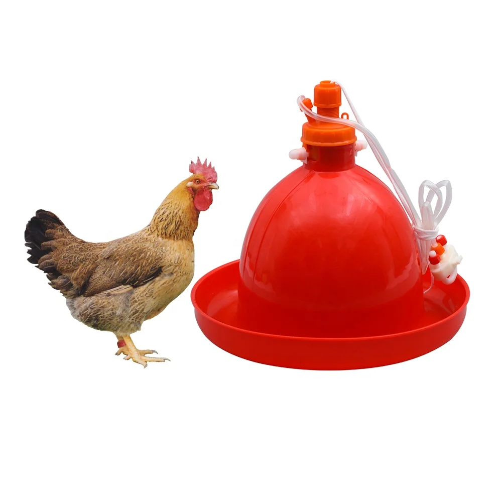 Factory Supply Plastic Automatic Economy Water Abreuvoir automatiques pour Poulet For Livestock Breeding