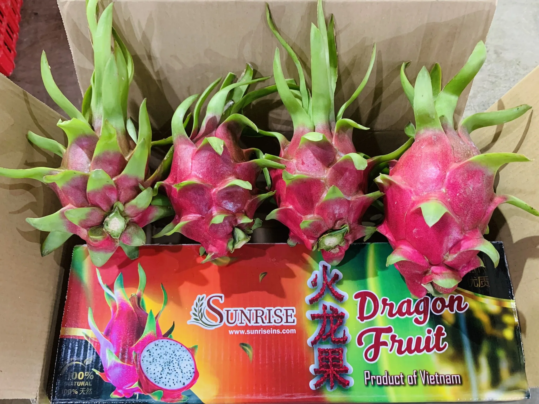 Vietnam Dragon Fruit Export To India Hong Kong Tropical Fresh Fruit 100% Maturity With Common  WHATSAP 0084 989 322 607