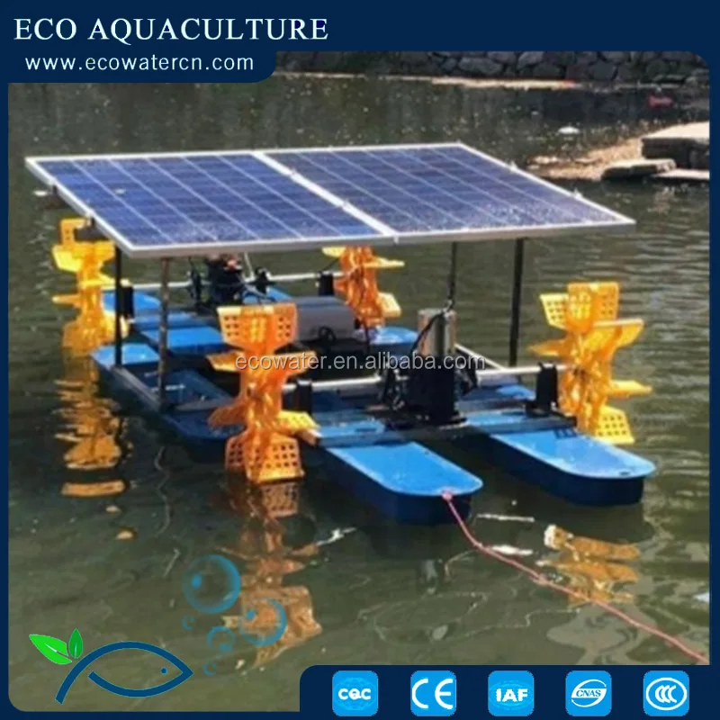 Ecoaquaculture  solar paddle wheel aerator dc solar water oxygenator aerator for fish pond solar powered impeller paddle wheel a