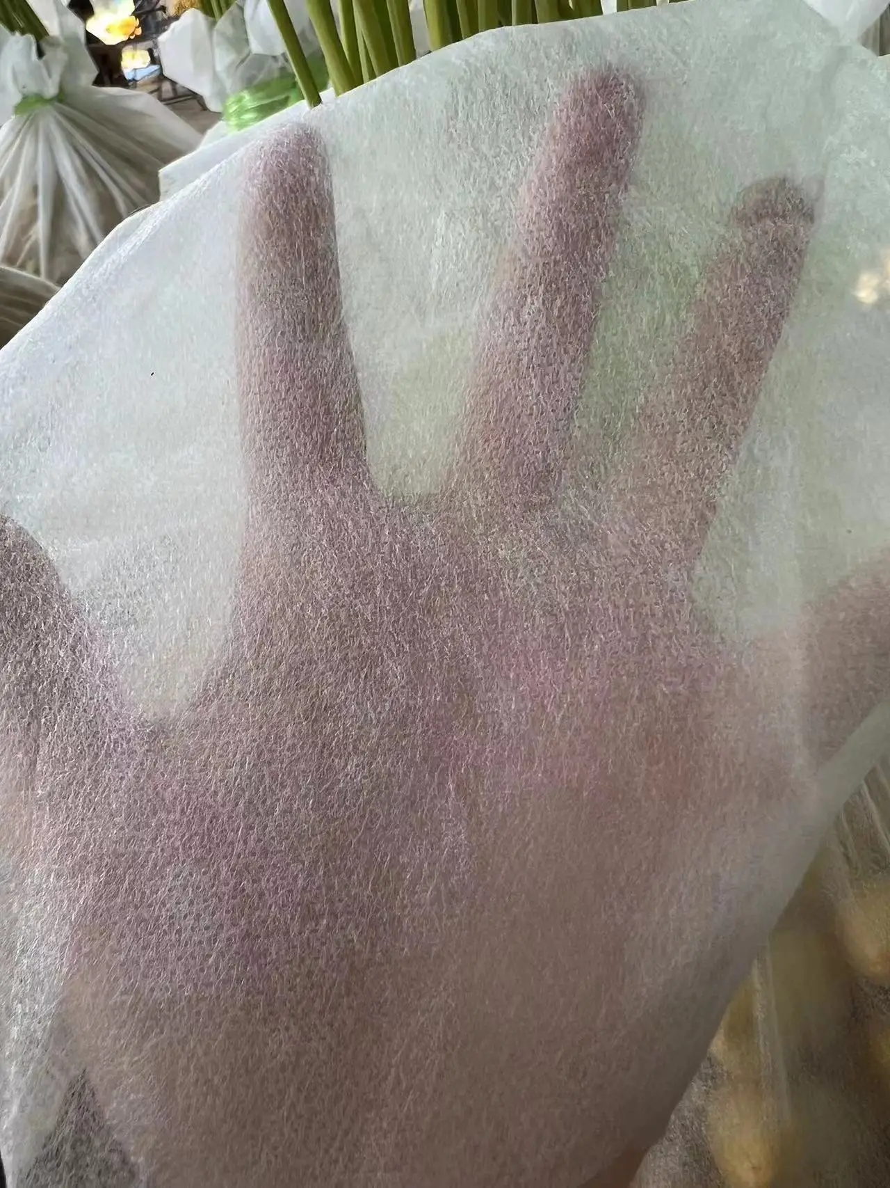 biodegradable Synthetic non woven fabrics date palm protecting mesh net plastic packing bag Dates Fruit Bag Fruits cover