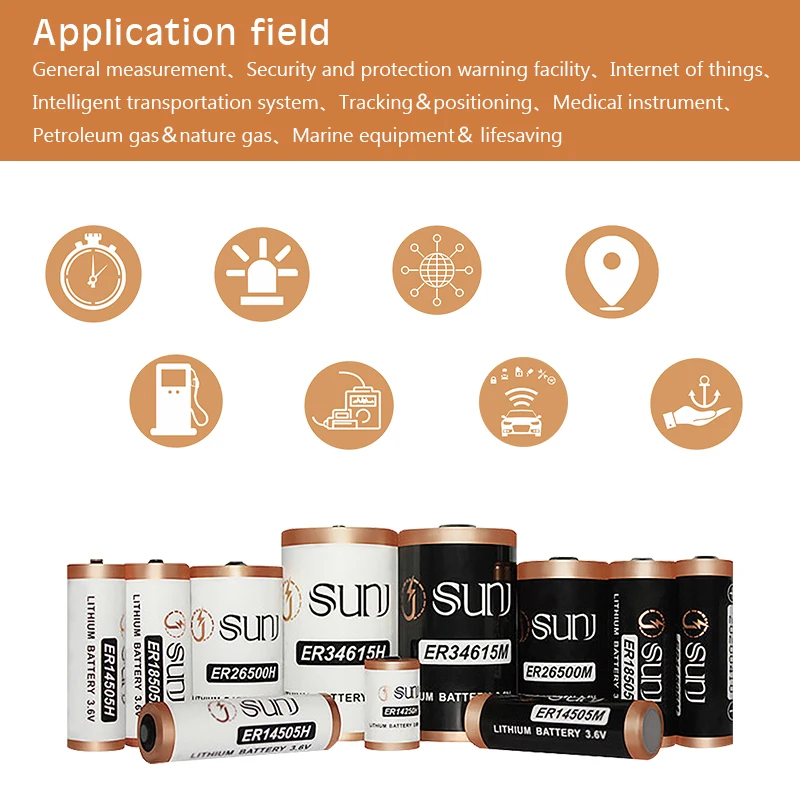 High Capacity Power 3.6v 8000mAh Lithium Ion Batteries Pack Primary Er18505