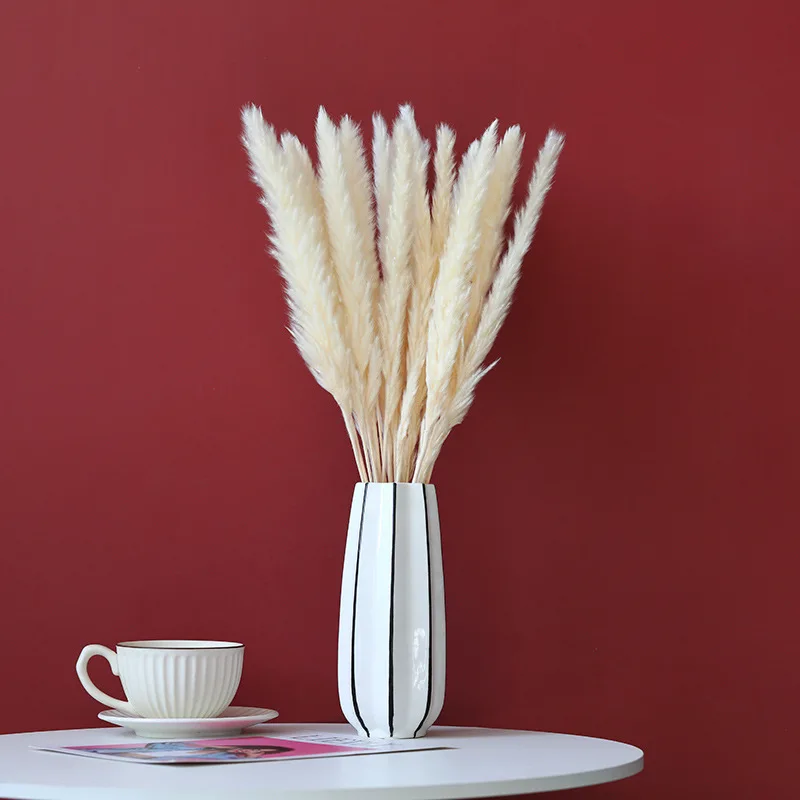 Cheap Price Real Dried Pampass Long Lasting Small Pampas Grass