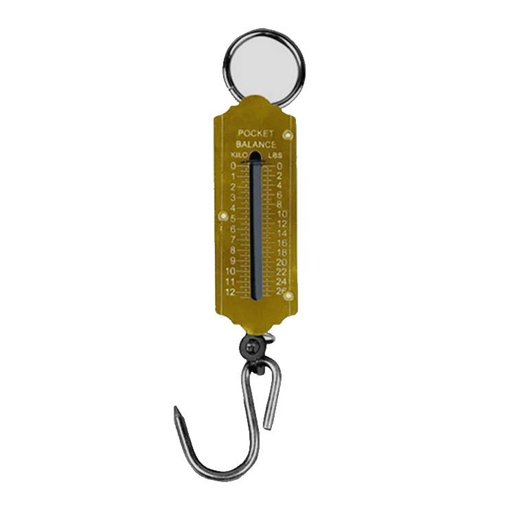 50kg Fishing  Spring Balance Weighing Fish Scale  Weight Pocket Hanging Spring Scales