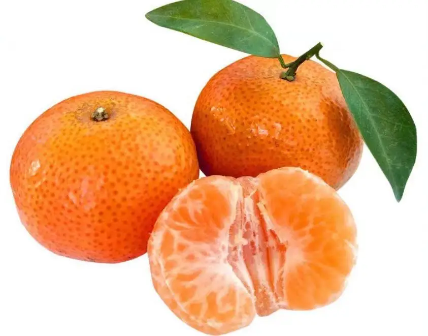 Zhejiang Orange