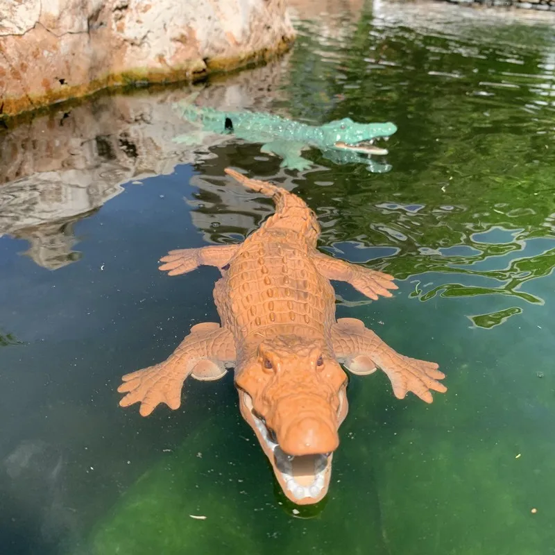RC Crocodile (9)