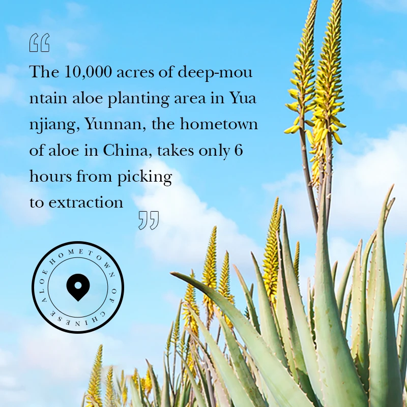 private label BIOAQUA cosmetic makeup beauty product aloe vera air cushion bb cream liquid whitening foundation