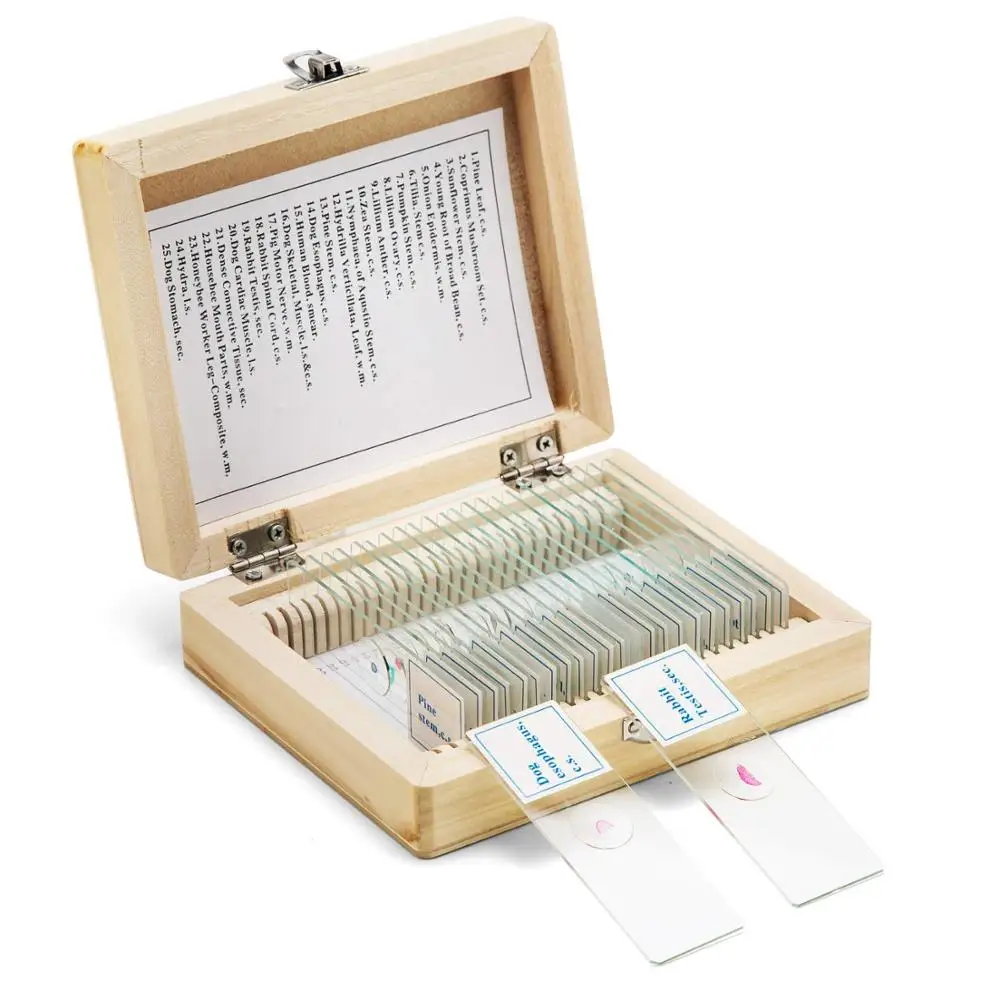  25pcs Hot Sale Mixed Glass Prepared Microscope Slides Set On Plant Animal