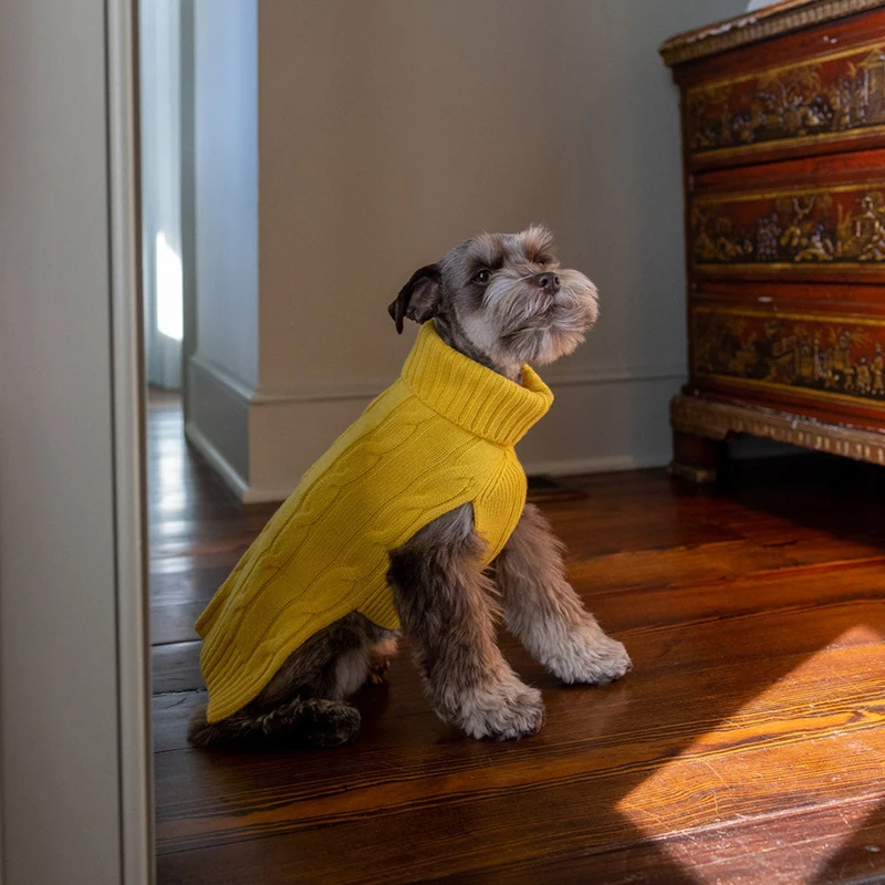 Cat Dog Sweater Free Knitting Pattern Clothes