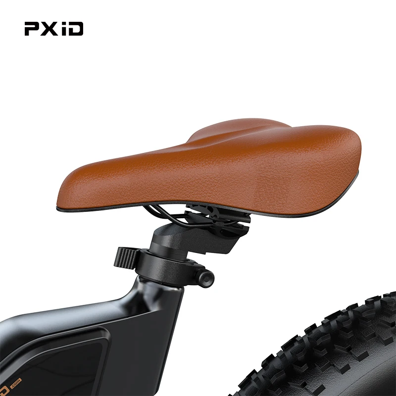 Retail Price- EU Warehouse Stock E Bike Electr Fat Bike Electric Bicycle