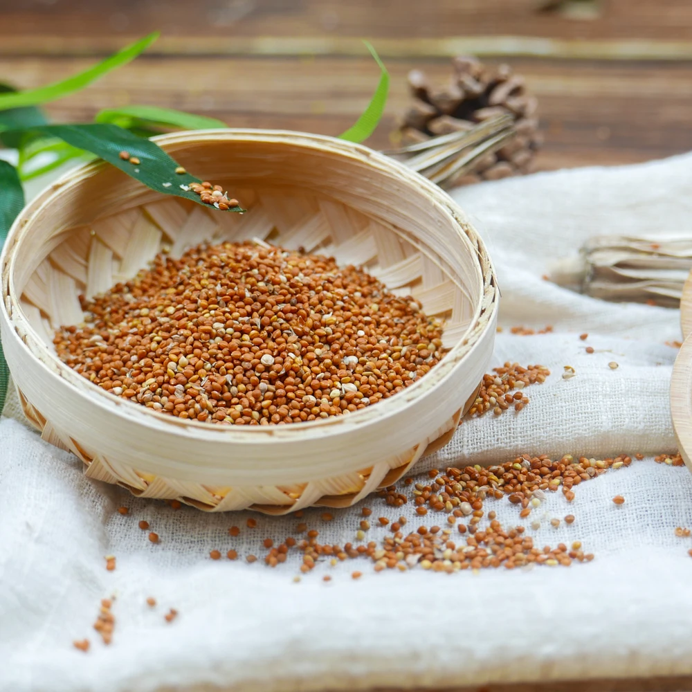 
Export Chinese Natural Organic Red Millet For Bird Food 