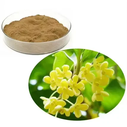 Hot sale Factory supply high quality damiana leaf extract damiana leaf