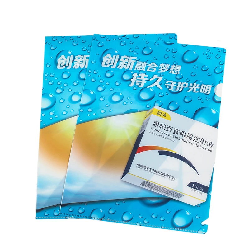 Hengyao High Quality Clear PP File Folder Durable and Versatile Various Colorful Designs for Document Storage