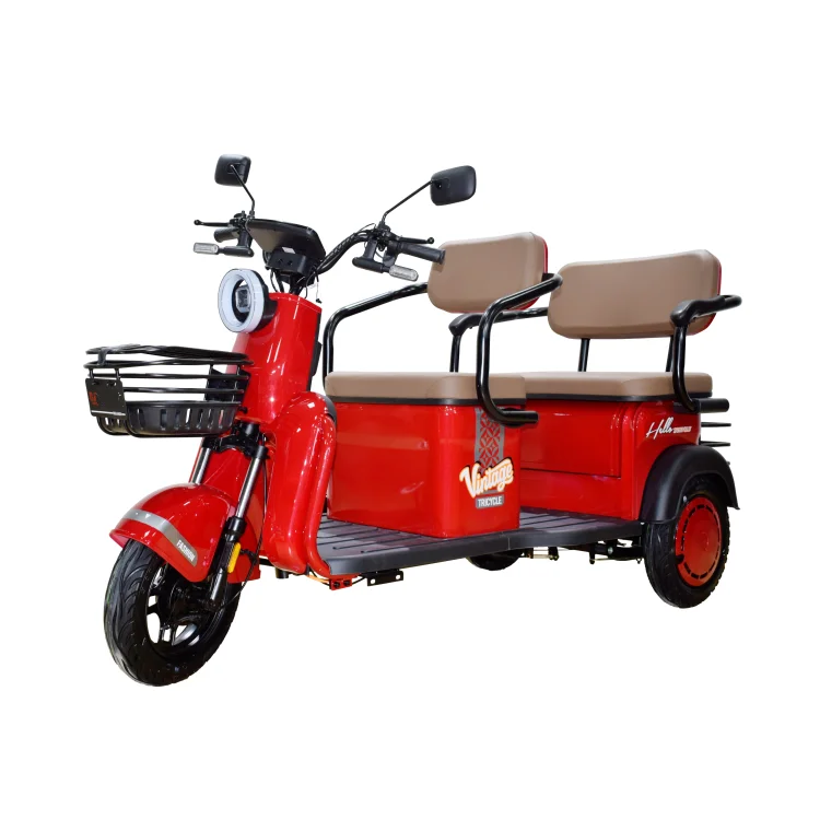 Factory Sales Small 2 Row Electric Passenger Cargo Tricycle with Storage Box for Adults 48V 800W 3 Wheel Moped Scooter Elderly
