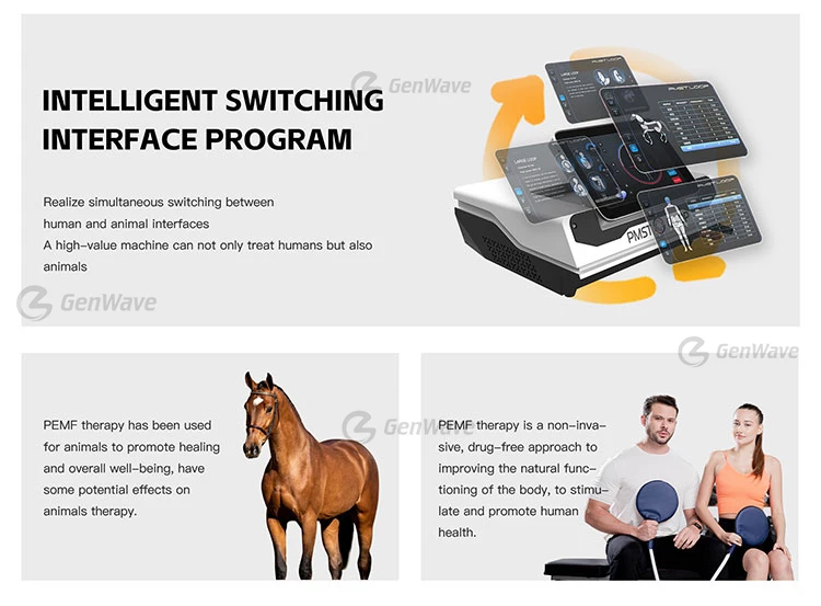 MED Therapy Pulse Physio Magneto Pain Remove PMST LOOP PRO MAX  Equine LOOP PEMF Machines Magnetic Body Massage Mat Therapy
