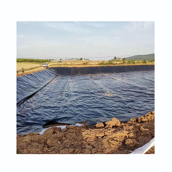 National standard composite HDPE geomembrane with strong performance for anti-seepage film, lotus pond aquaculture film