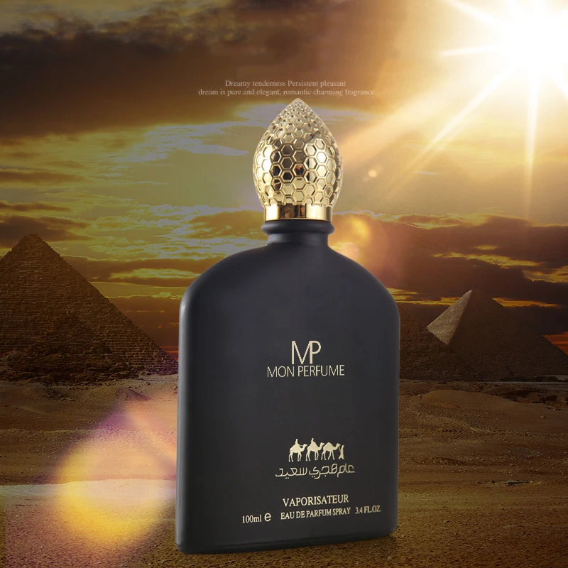 100ml italy smart collection perfume custom logo long lasting Arabic perfume men parfum