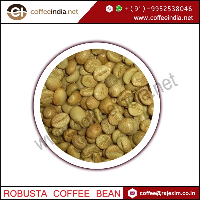 Top Selling Roasted Robusta Coffee Bean with High Quality Coffee Beans Wholesale Cheap Price From India