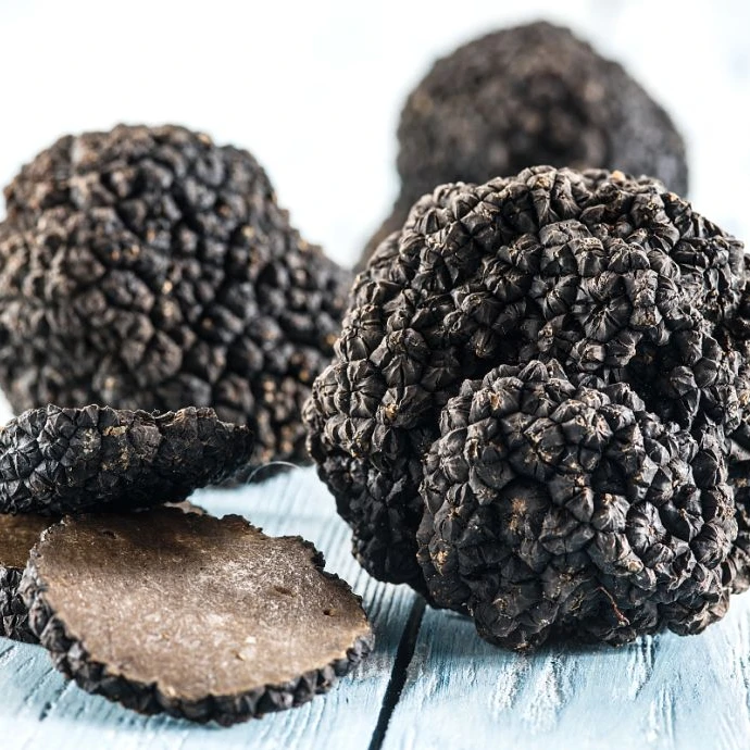 Wild Black Truffle Mushroom tuber indicum