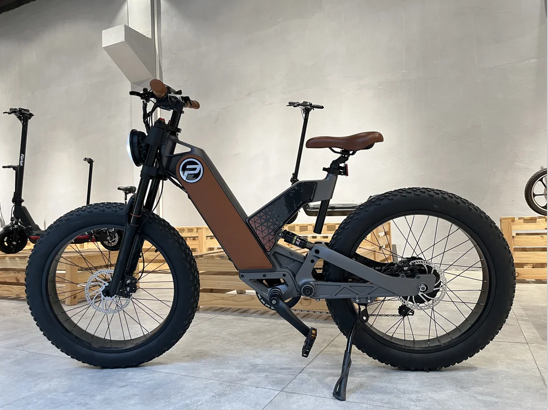 Electric Bike Adults 750W BAFANG Motor 48V 16Ah Larger Battery 24' Fat Tire Ebike Snow Beach Mountain E Bike Shimano 7-Speed