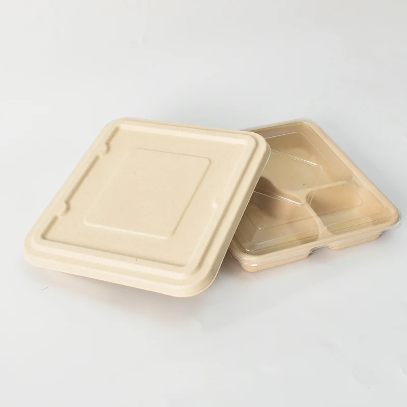 Disposable Paper Sugarcane  Food  Containers Ecofriendly Brownies Heat Seal Take  Away  Lunch Box