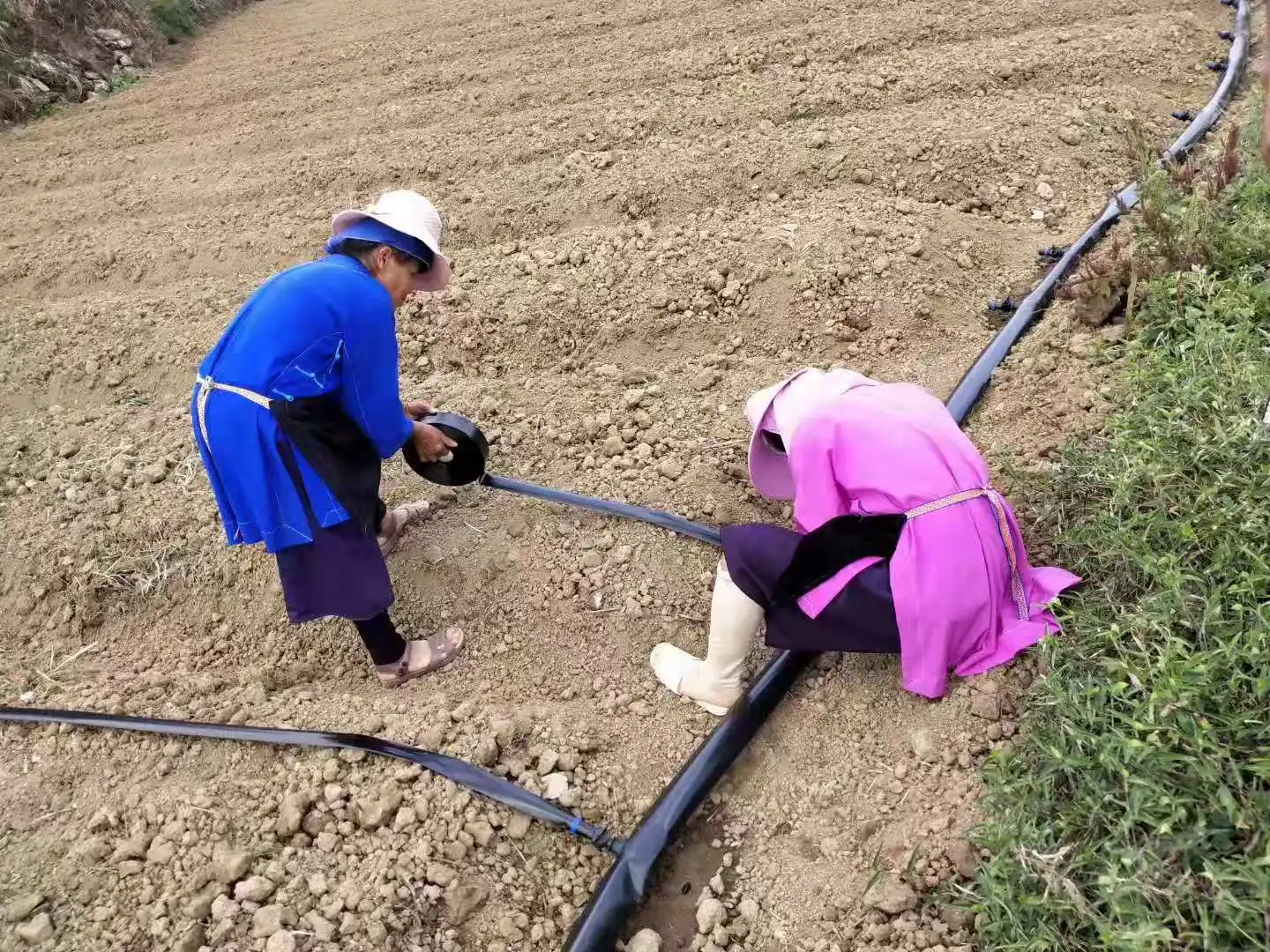 Irrigation Agriculture Sprinkler UV Resistant For System Plastic Material Hose rain agricultural Rain Spray Tube