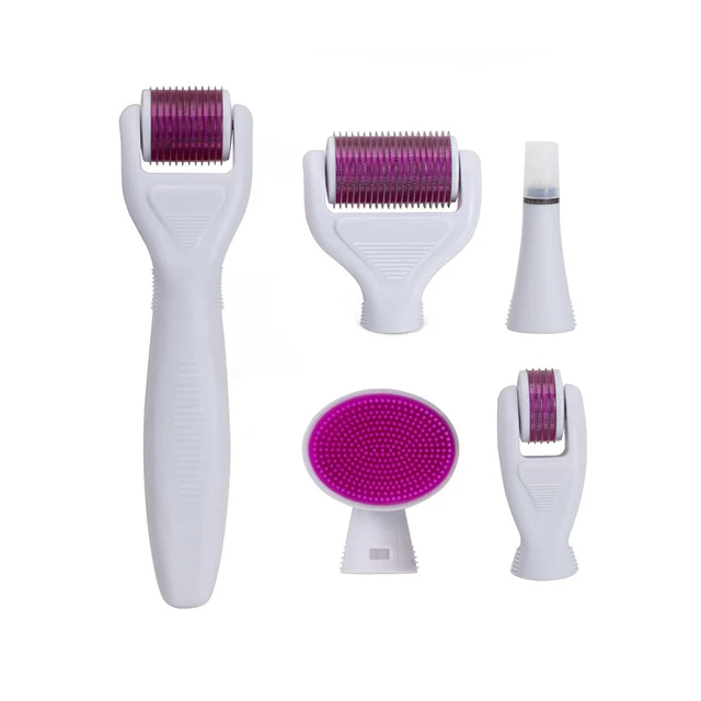 Newest 6 in 1 derma roller microneedle roller for most of skin problems