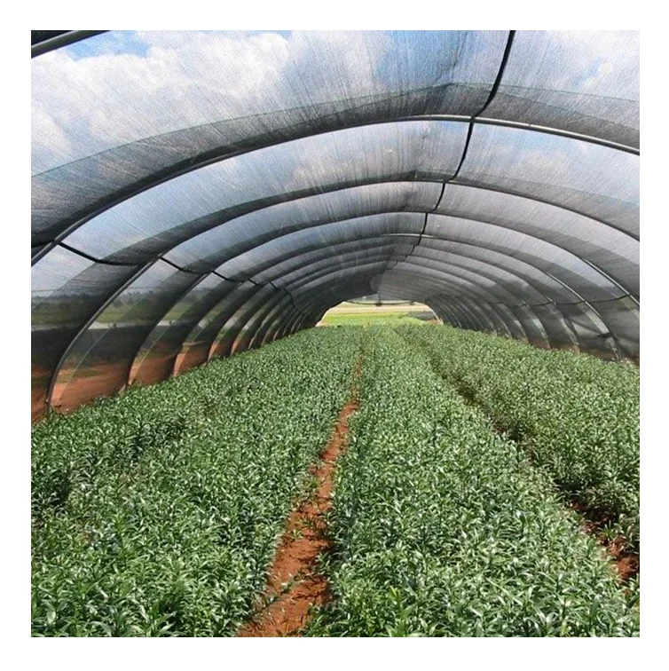 Анти-УФ HDPE зеленая Солнцезащитная сетка наружная беседка Балконная затеняющая