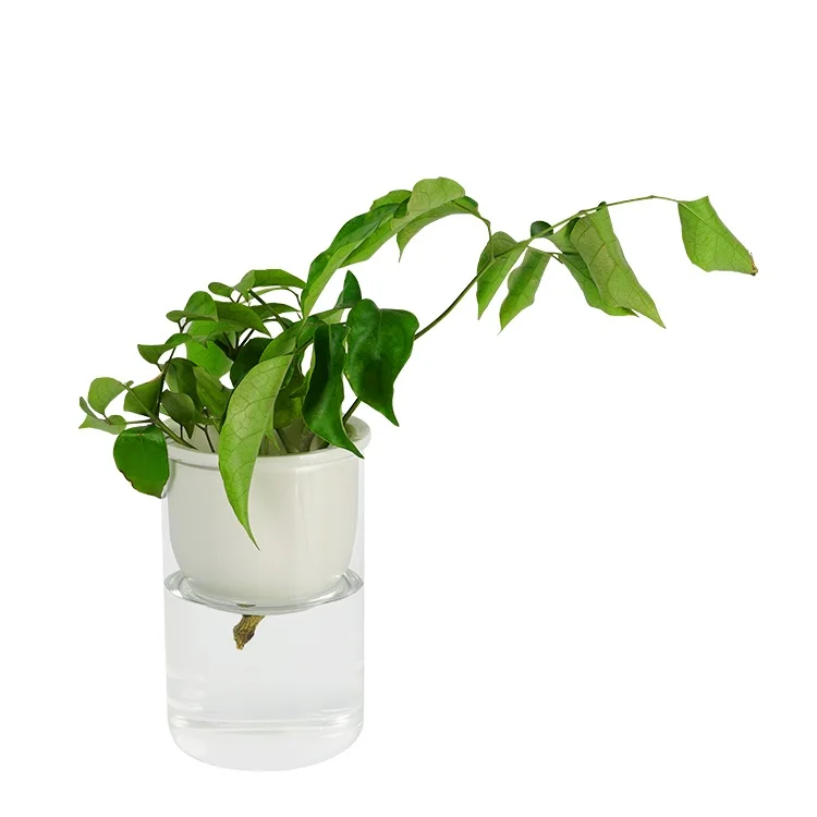 Office Desk Decoration Round Tabletop Vase Flowers Clear Glass Crystal Vase Glass Vase