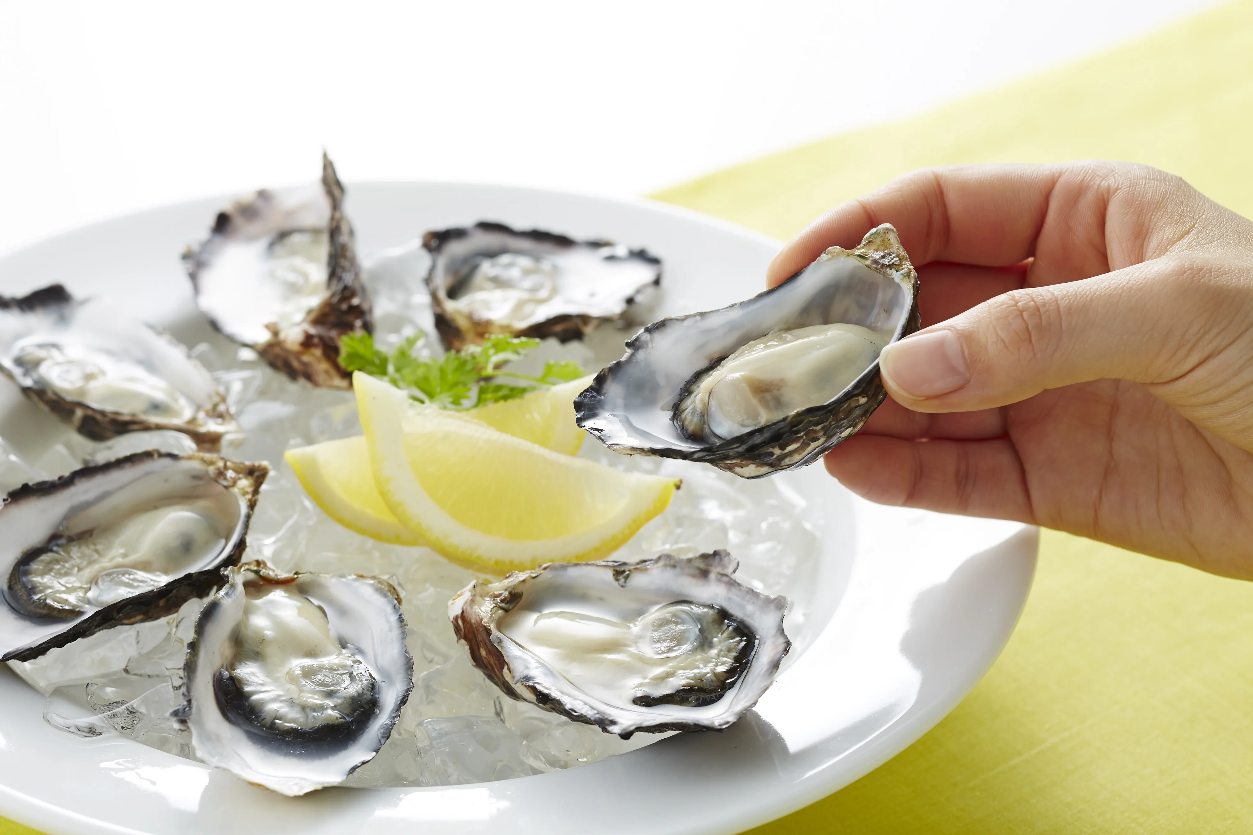 Original small size contain minerals raw fresh frozen oysters