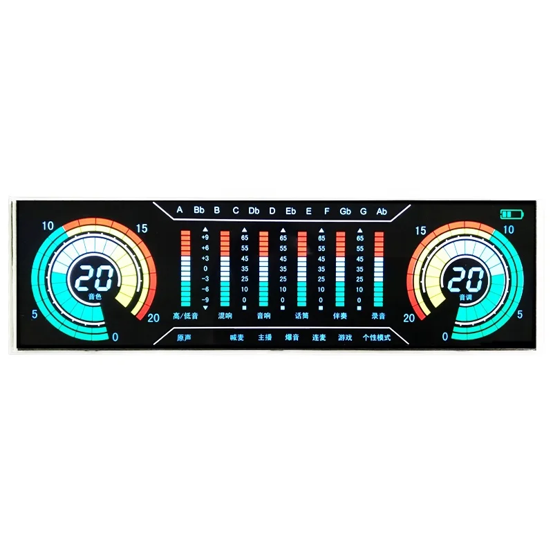 Enrich Transmissive Negative Custom VA Segment LCD Display Module