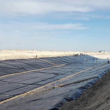 Double-sided resisting sliding anti ageing ultra violet textured hdpe geomembrane